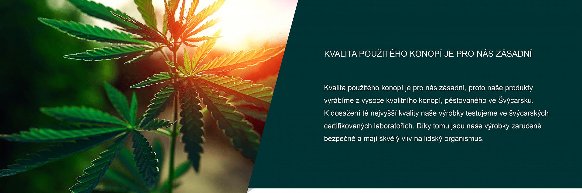 banner_svycarskakvalita_Kreslicí plátno 1.png